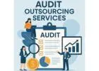 Audit Support Services
