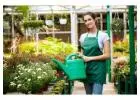 Professional Gardening Services in Pune – G1S Group Experts