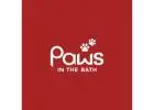 Professional Dog Grooming in Aurora | Paws in the Bath