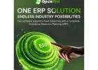 Boost Growth with OpenPro Cloud ERP Software Now