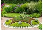 Trusted Garden Development Services in Gurgaon for Homes