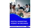 Top-Rated Digital Marketing Agency in