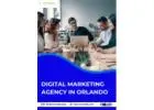 Top-Rated Digital Marketing Agency in