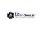 Bartlett Mold Removal Services | Themoldgenius.com