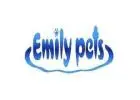 Dog Belt for Small Dog – Emily Pets