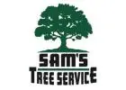Tree Service Santa Rosa