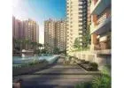 Top Reasons to Choose a Home in Noida Extension