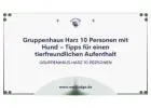 Gruppenhaus Harz 10 Personen mit Hund – Tipps für einen tierfreundlichen Aufenthalt
