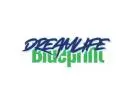 Dream Life Blueprint – Structured Personal Development Hub