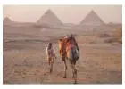 Egypt DMC by Luxxata | Trusted B2B Travel Partner