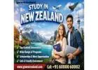 Study in New Zealand – A Complete Guide for International Students