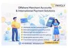 International Online Payment Solutions for Offshore & High-Risk Merchants