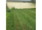 Best Lawn Mowing in River Heads