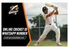 Online Cricket ID Whatsapp Number – Complete Guide