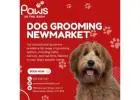 Top-Quality Dog Grooming in Newmarket | Paws in the Bath