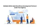 Reliable White Label WordPress Development Partner | Scale Your Agency