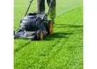 Best service for Lawn Mowing in Narellan Vale