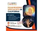 Palm Reading Specialists in California | Tarot Reading in California