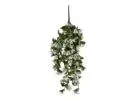 Stunning Fake Hanging Plants to Bring Life to Your Space