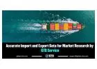 Accurate Import and Export Data for Market Research by GTD Service