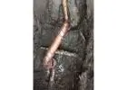 Best Leak Detection service in Wollongong