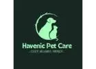 Buy Pet Accessories Online Store Canada