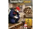 Termite Pest Control in Gurgaon – Safe & Reliable Termite Treatment by Service Mantra Pest Control