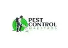 Get Reliable Pest Control & Termite Treatment in New River, AZ Today!