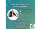Early Warning Signs of Kidney Failure You Should Never Ignore
