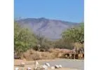 BLM Lands Near Phoenix AZ for RV Camping and Outdoor Adventures