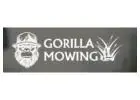 cheap lawn mowing services auckland​--Gorilla Mowing