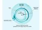 ICSI Treatment in Delhi - Dr Rhythm Gupta