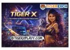 Tiger X - The Power of Next-Gen Betting in 2026