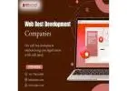 Web Design Company In Zinavo | Web Development Company New York City