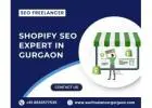 Increase Traffic with a Trusted Shopify SEO Expert in Gurgaon