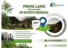 North Bengal Land Sale – Best Investment Opportunity with Sarkar Reality