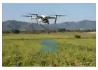 Drone Agriculture Mapping