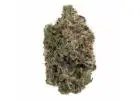 Buy Rainbow Driver Weed Strain in Canada