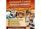 Professional Cockroach Control Service in Gurgaon with Safe Treatment | Service Mantra