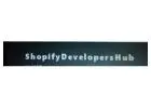 custom shopify development in delhi | shopify company in delhi