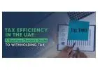 Withholding Tax Services in UAE: Expert Compliance & Advisory Solutions