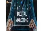 Best Digital Marketing Consultant in India for Business Growth