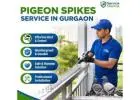 Trusted Pigeon Spikes Service in Gurgaon | Long Lasting Bird Control by Service Mantra