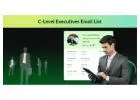 Get Sample UK C-Level Executives Email List for B2B Leads