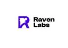 Best Erp Systems - Raven Labs