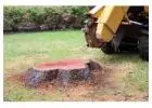 Stump Grinding Hornsby | Sydney Tree Felling