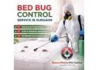 Bed Bug Control Service in Gurgaon | Safe, Reliable and Long-Lasting Pest Solutions