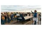 Find the Best Deals on Auction Trailer Listings Today