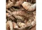 Fresh Shrimp For Sale Online