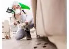 Pest Control Thorsby